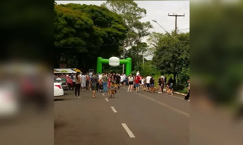PM realiza II Cãominhada em comemoração ao aniversário do 10º BPM 