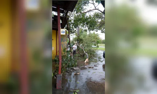 
							Temporal causa estragos em Londrina
						
						