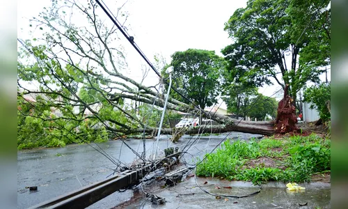 Tempestade com ventos de 107 km/h causa estragos em Apucarana