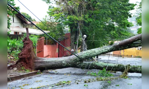 
							Tempestade com ventos de 107 km/h causa estragos em Apucarana
						
						