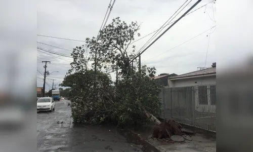 Defesa Civil avalia danos causados pela tempestade em Arapongas