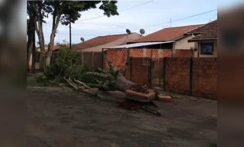 
							Moradores de Aricanduva estão há mais de 20 horas sem energia
						
						