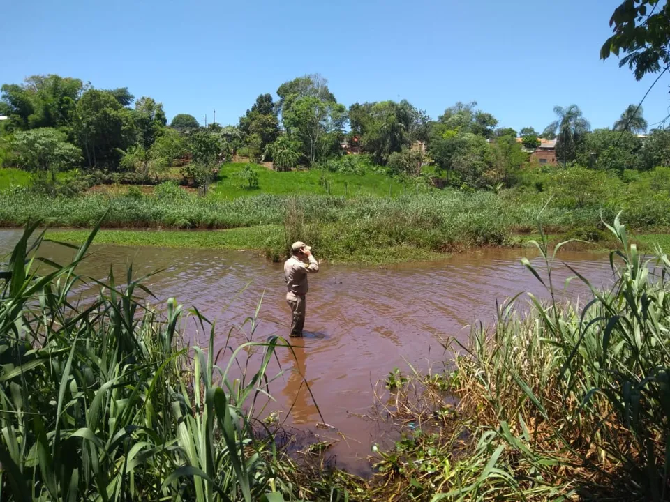 Ossada encontrada na Represa do Schmidt não é humana