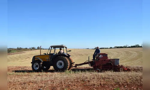 Produtores aceleram plantio de soja
