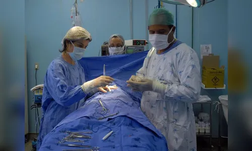 Bolsonaro e Haddad divergem sobre Mais Médicos e SUS