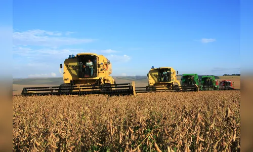 Paraná confirma produção de 23 milhões de toneladas de grãos