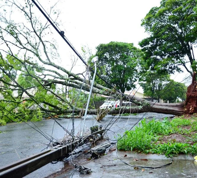 Ultimo temporal em Apucarana derrubou árvores e postes.