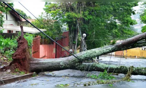 
							Prefeito coloca equipes municipais em alerta para risco de temporal em Apucarana
						
						