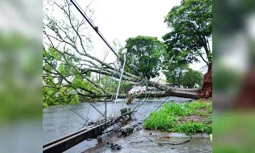 Prefeito coloca equipes municipais em alerta para risco de temporal em Apucarana