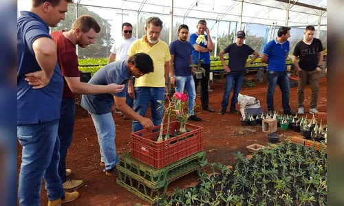 Assistência fortalece floricultura no Oeste e Noroeste do Estado