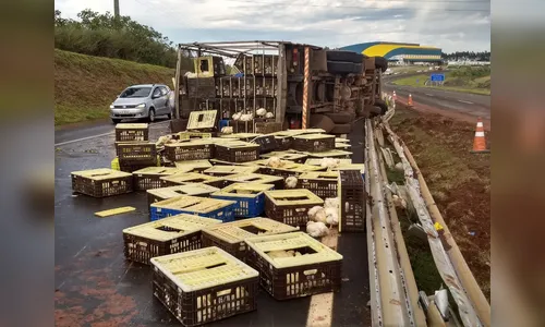 Acidente entre caminhões deixa motorista ferido em Apucarana