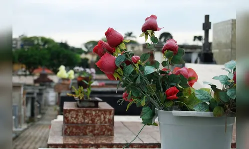 Feriado de finados pede alerta para cuidados com a dengue