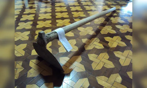 Mulher mata filhote de cachorro com golpes de enxada