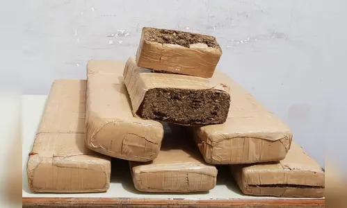 Jovem de 18 anos residente em Apucarana é preso pelo BPFron com 6,3 kg de maconha dentro de ônibus