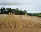 A política do agronegócio
