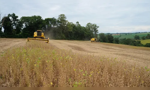 A política do agronegócio
