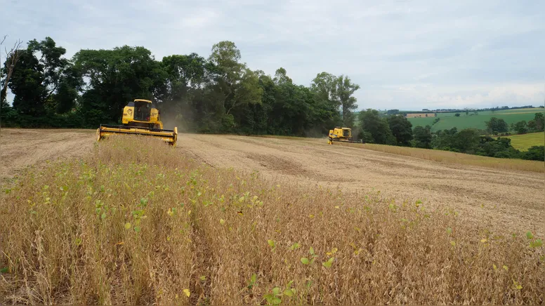 Foto: Tribuna do Norte