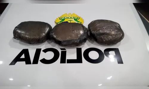 Rotam e Canil de Apucarana apreendem 3,3 quilos de haxixe com menina que estava em ônibus