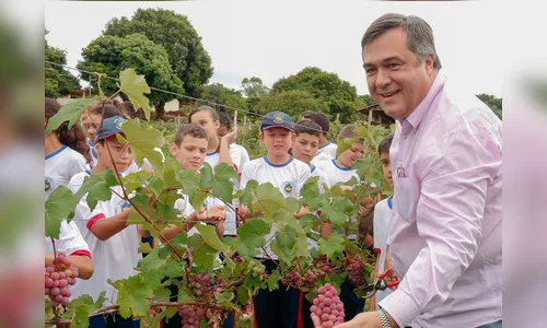 “Terra Forte” já entregou 120 toneladas de frutas nas escolas