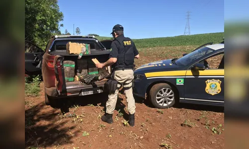 PRF apreende quase uma tonelada de maconha 