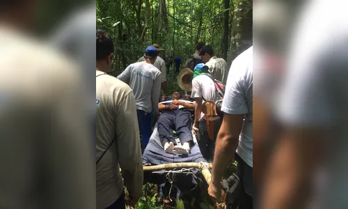 Piloto se perdeu em mata após queda de avião, se alimentou de bolachas e usou capacete como proteção em MT