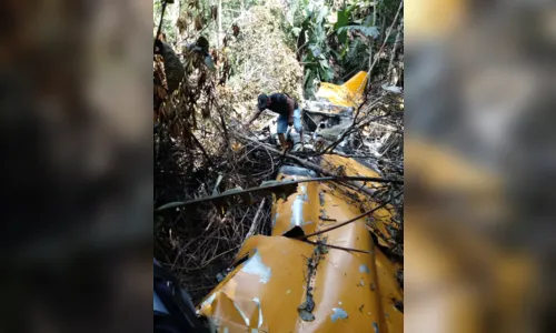 
							Piloto se perdeu em mata após queda de avião, se alimentou de bolachas e usou capacete como proteção em MT
						
						