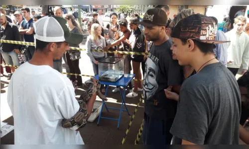 
							Apucarana recebe feira de animais exóticos
						
						