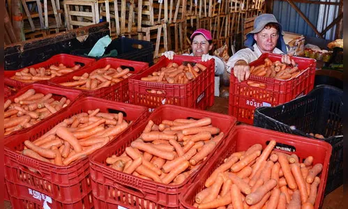 MST e bolsonaristas convivem em Arapongas