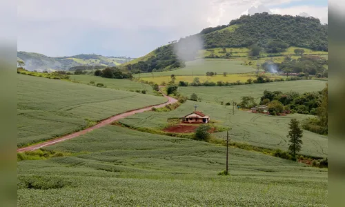 Taxa do Incra deve quitada até o dia 5 de dezembro