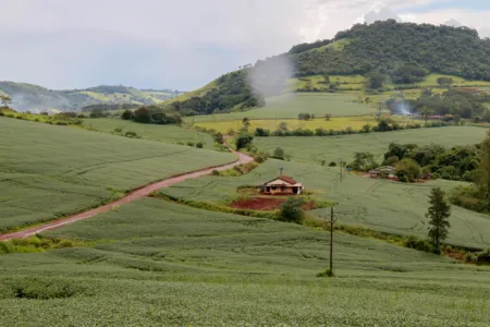 ​Taxa do Incra deve quitada até o dia 5 de dezembro