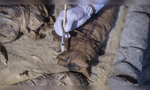 Tumbas com dezenas de gatos mumificados são achadas no Egito