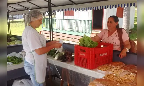 Repasse e assistência técnica melhoram a vida de 4,7 mil agricultores