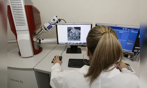 Universidades estaduais do Paraná estão entre as melhores do mundo