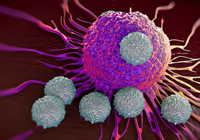 Pesquisadores criam vírus modificado que mata células do câncer - Foto: Reprodução/Daily Mail