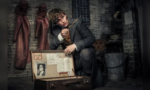 
							​ Animais Fantásticos: Os Crimes de Grindelwald
						
						