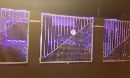 
							Residência em Apucarana se destaca pela beleza da decoração natalina
						
						