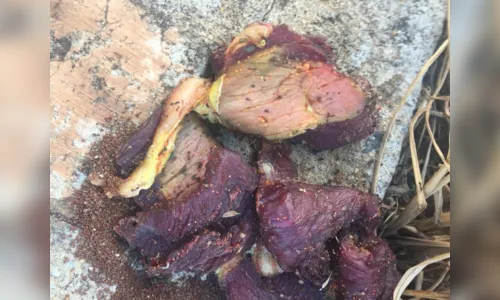 
							Carne com veneno de rato é achada jogada em local na zona oeste de Apucarana
						
						