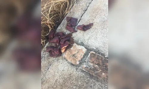Carne com veneno de rato é achada jogada em local na zona oeste de Apucarana