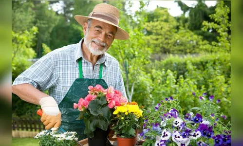 Agência do Trabalhador oferta vaga para caseiro em Apucarana