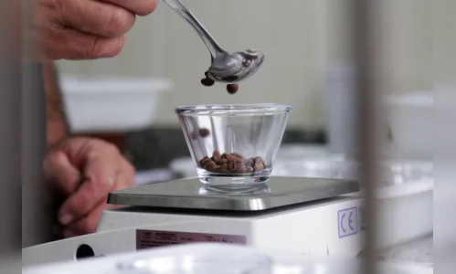 Produtoras fazem leilão de cafés especiais em Londrina