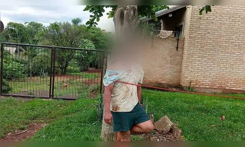 Homem é amarrado em árvore após agredir esposa