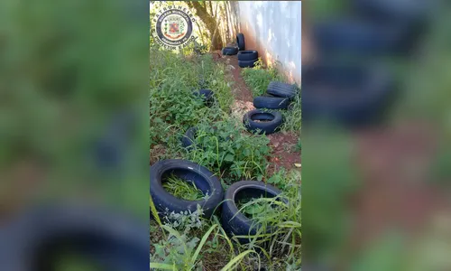 Descarte irregular de pneus mobiliza Defesa Ambiental em Arapongas