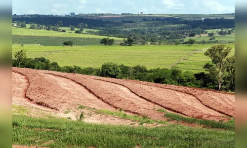 Programa de microbacias beneficia 21 mil agricultores