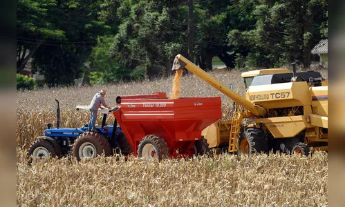 Safra de grãos poderá chegar a 23,3 milhões de toneladas 