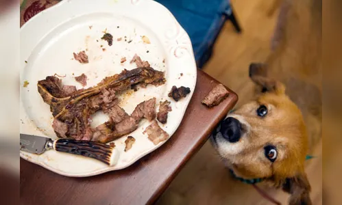 Jovem é agredido após dar osso para cachorro em Faxinal