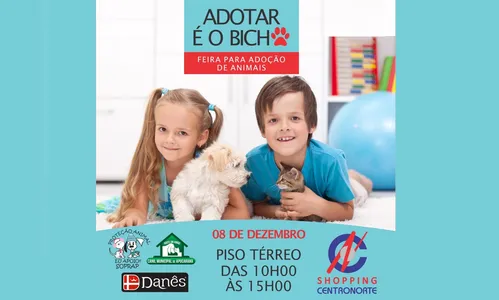 Canil Municipal promove feira de adoção de animais