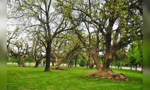 Governo vai criar parque em Maringá e Marialva