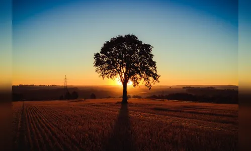 Confira a previsão do tempo para quinta e sexta-feira em Apucarana e região
