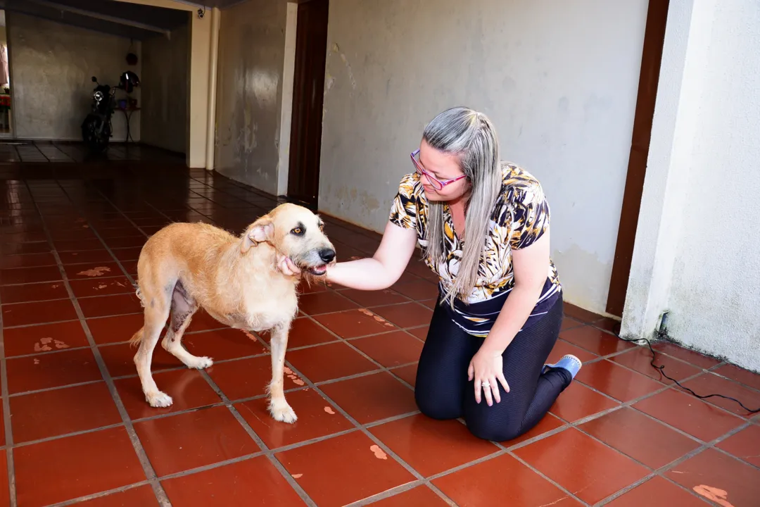 Marcele cuida do cão Estopa  há um ano. Ele ficou 47 dias internado e passou por quatro cirurgias após ter as costelas quebradas e o pulmão perfurado. Ele teve ainda a perna amputada. Foto: Delair Garcia