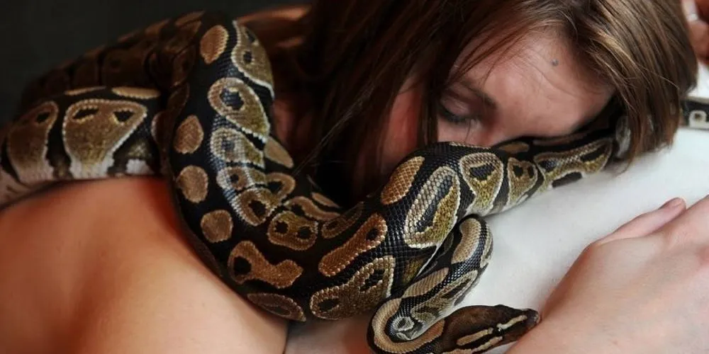 Mulher se divorcia alegando que ex-marido a obrigava a amamentar cobras - Foto: Reprodução/internet/imagem ilustrativa